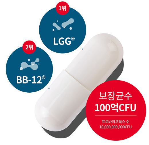 덴마크-유산균이야기-효능-효과