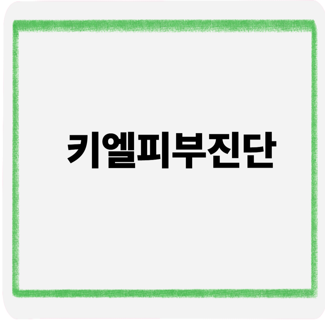 키엘피부진단