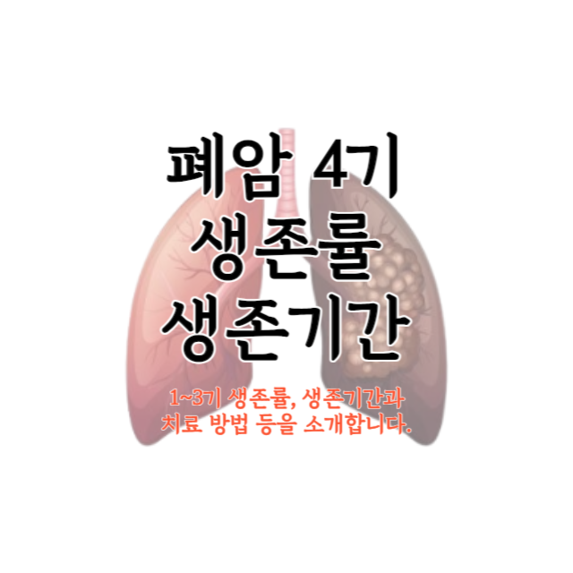 폐암-4기-생존률