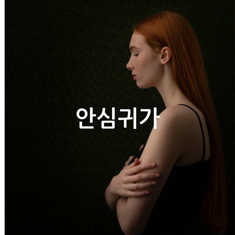 1인가구를 위한 서울시 맞춤형 지원