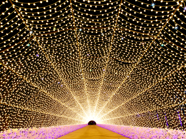 경기도 야간명소 데이트하기 좋은장소 베스트