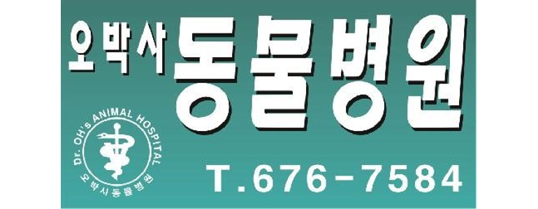부천 오정구 동물병원