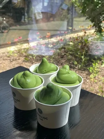 제주 오설록 티뮤지엄 관람 팁과 근처 카페 안내_10