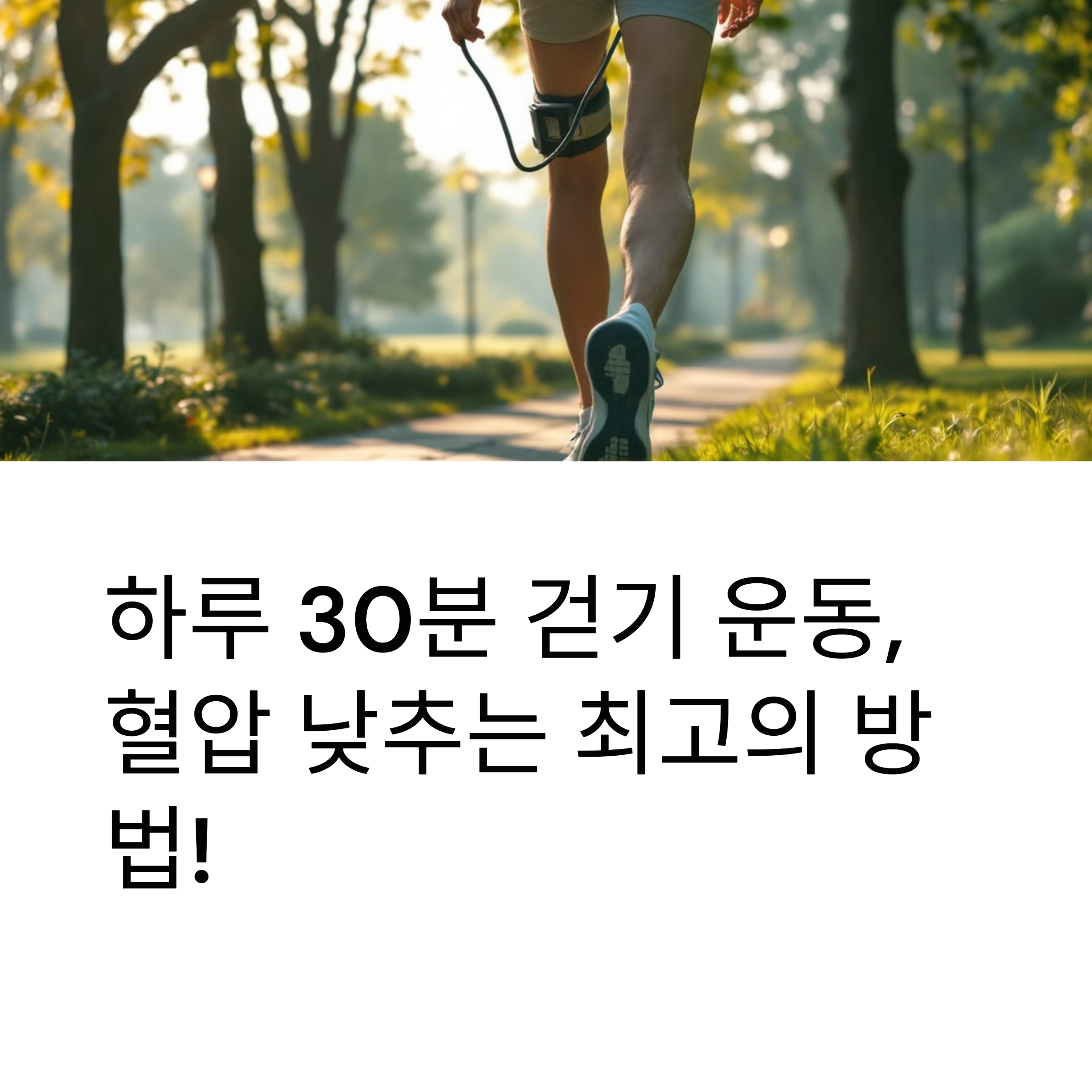 하루 30분 걷기 운동, 혈압 낮추는 최고의 방법!