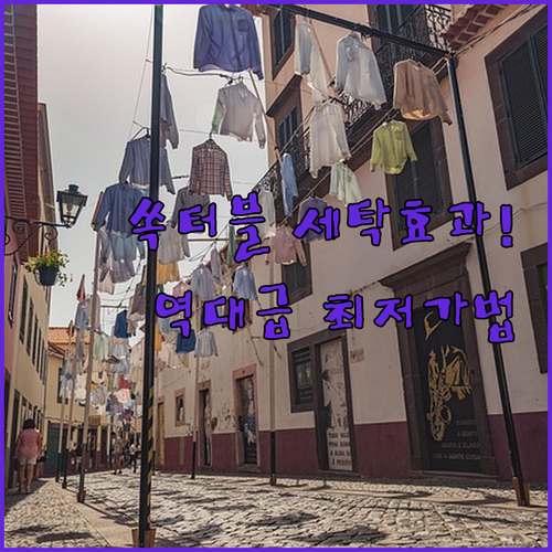 라비킷 쏙터블 세탁 효과와 가장 저렴..