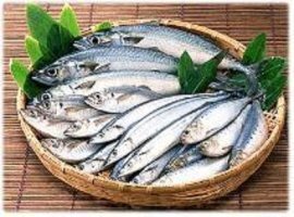 모유수유에 좋은 음식