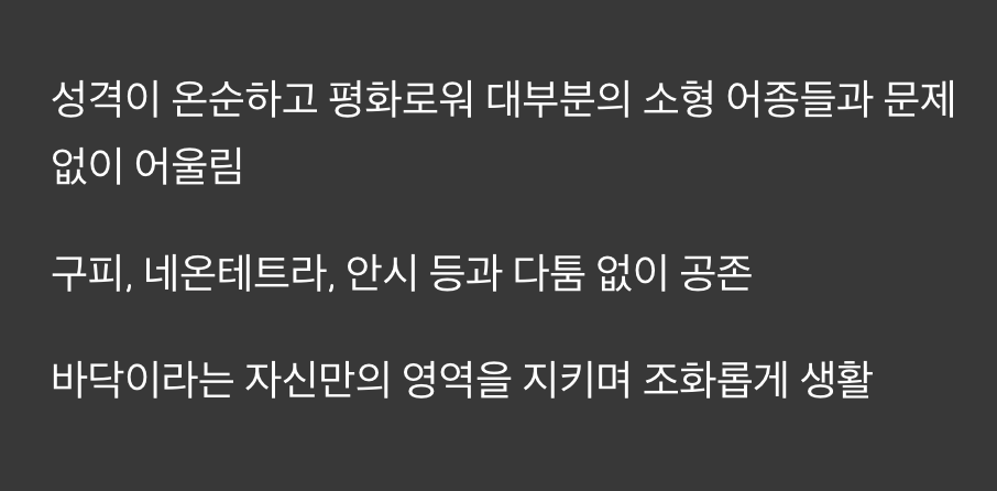 평화를 사랑하는 '최고의 룸메이트'