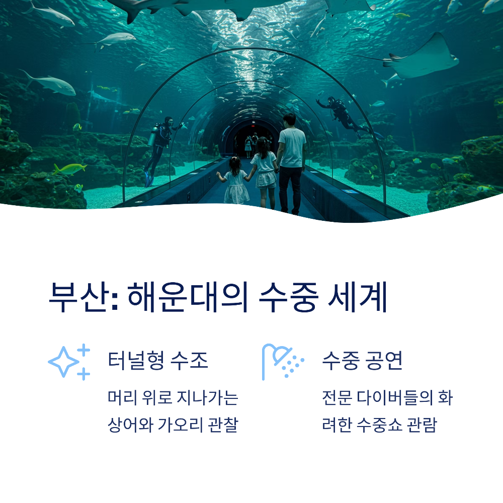 2025년 비 오는 날에도 즐길 수 있는 국내 실내 여행지 7선