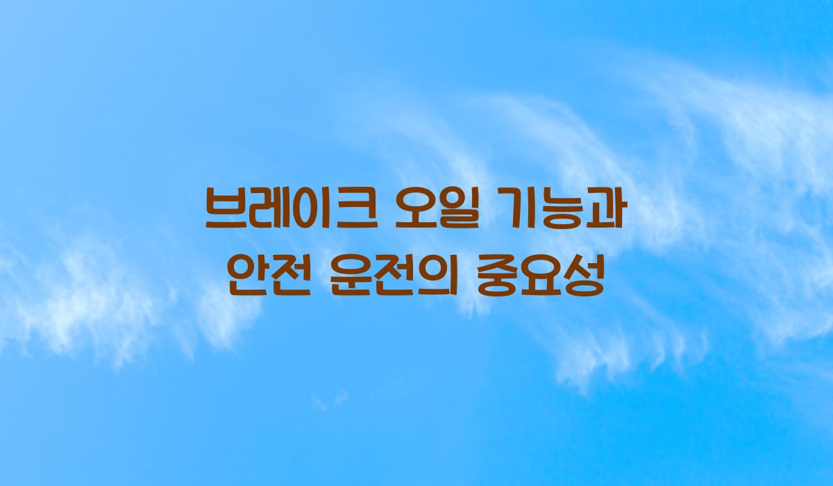 브레이크 오일 기능