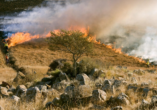 방화 조경 설계