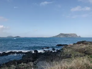 제주 렌트카 비교사이트 돌하루팡