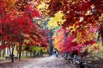 단풍구경 전국 명산 50대 이상 안전한 등산로 추천_2