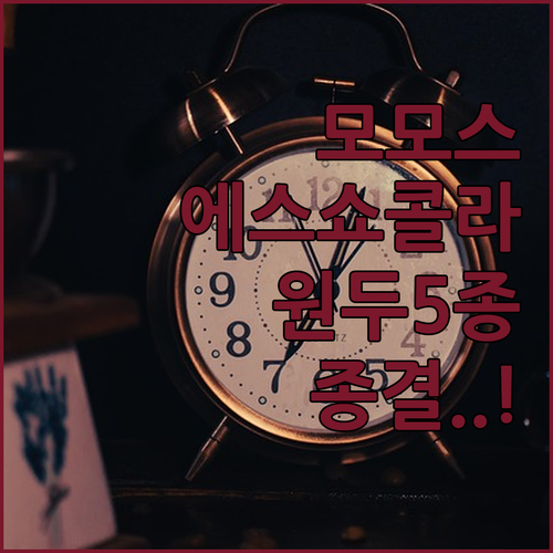 모모스커피 에스쇼콜라 포함 스페셜티 ..