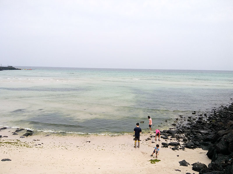 제주도(Jejudo) 함덕서우봉해변