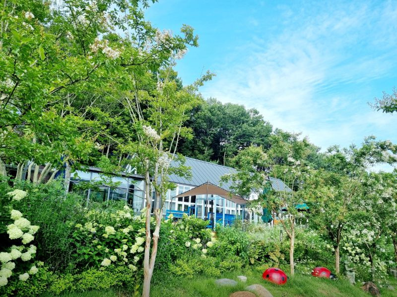 도토리숲키즈파크 