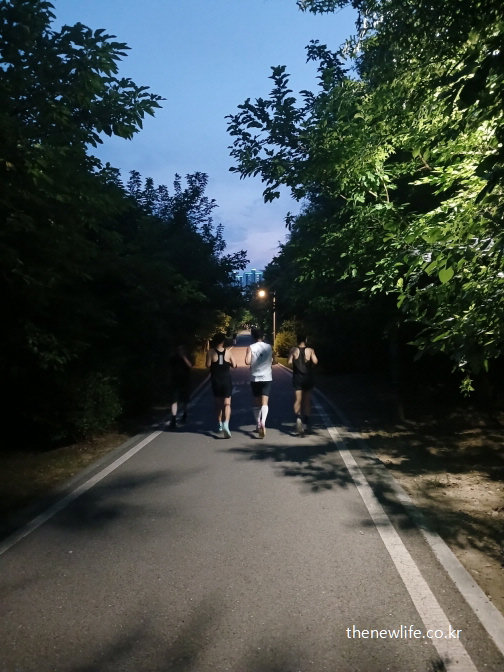 야간 산책로에서 무리 지어 달리며 편안한 호흡으로 슬로우 조깅을 즐기는 사람들