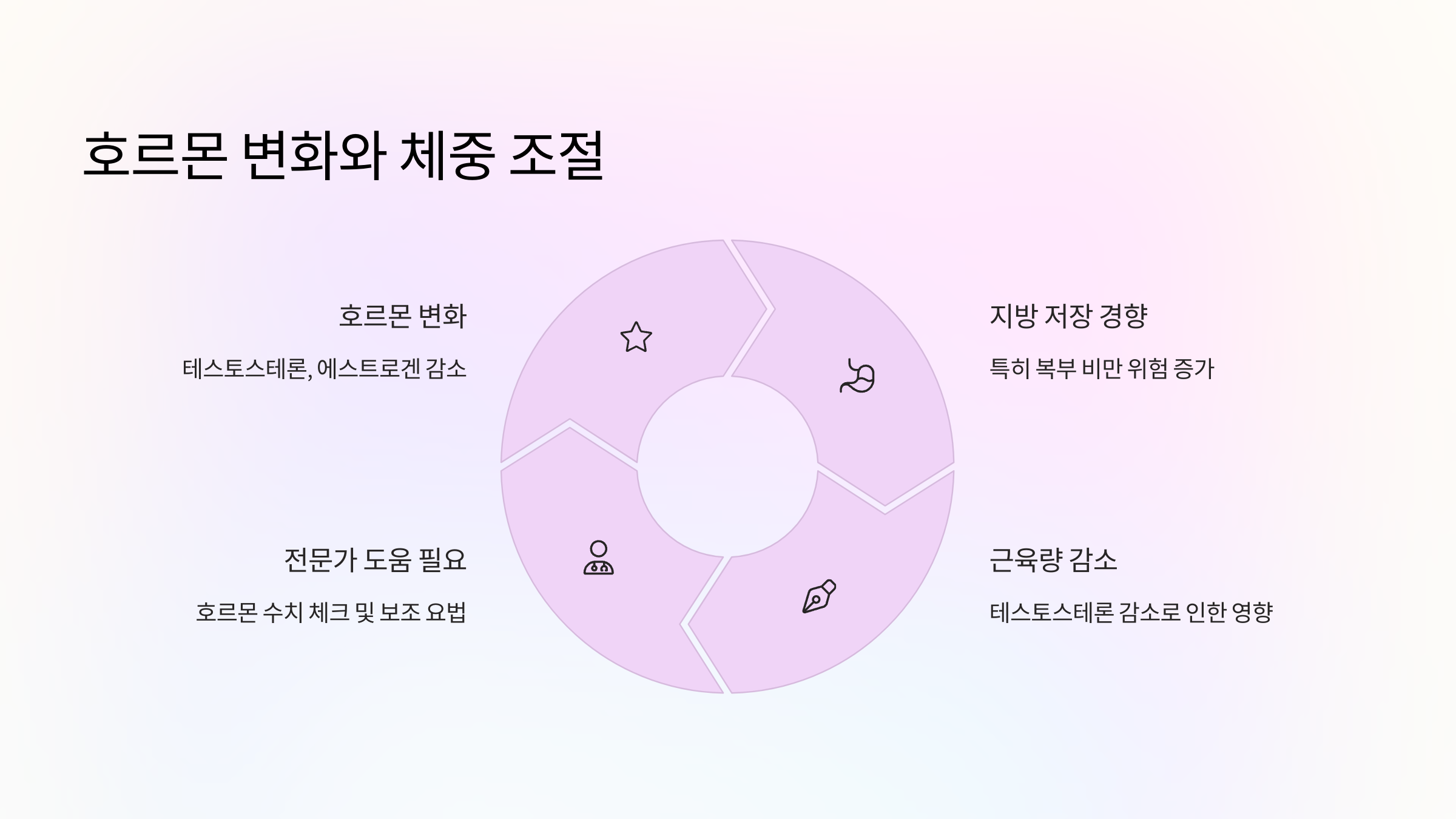 🧬 호르몬 변화와 체중 조절