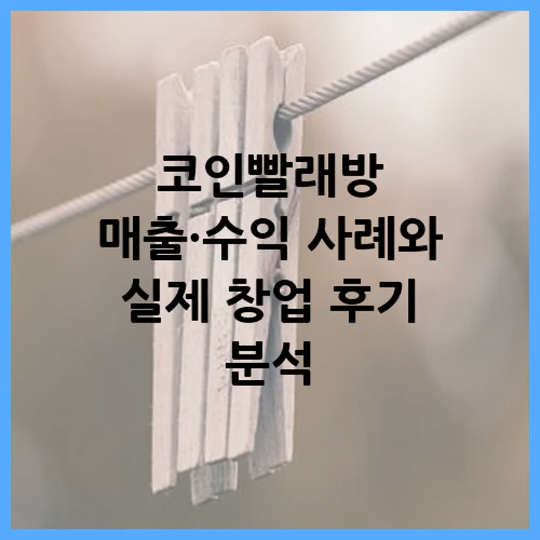 코인빨래방 매출·수익 사례와 실제 창업 후기 분석