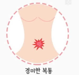 배란기 증상