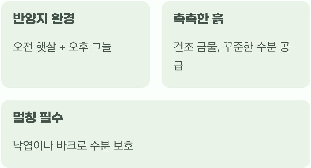 햇살보다 그늘, 촉촉한 흙을 사랑하는 아이