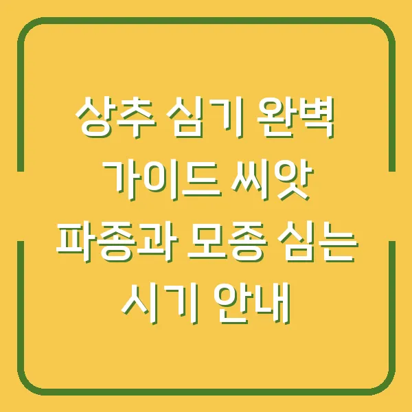 상추 심기 완벽 가이드 씨앗 파종과 모종 심는 시기 안내