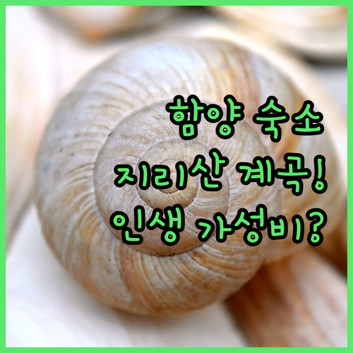 함양 여행 숙박 추천 TOP 5 가성..