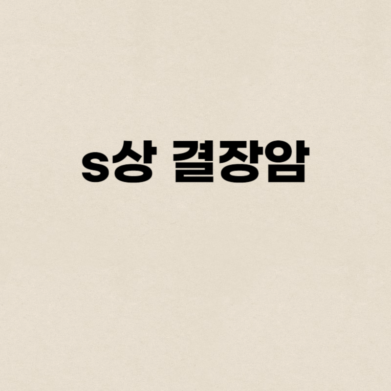 s상 결장암