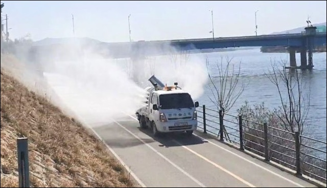 러브버그 퇴치방법 5가지 공유