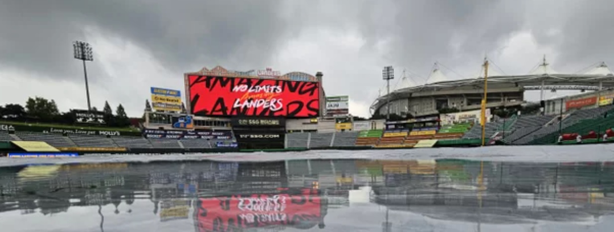 SSG 프로야구 폭행