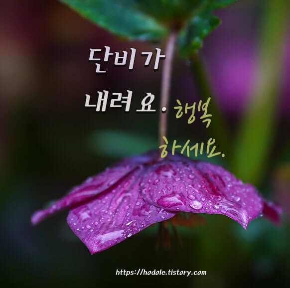 행복하세요