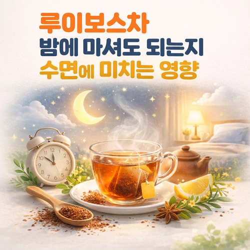 루이보스차 밤에 마셔도 되는지 수면에 미치는 영향