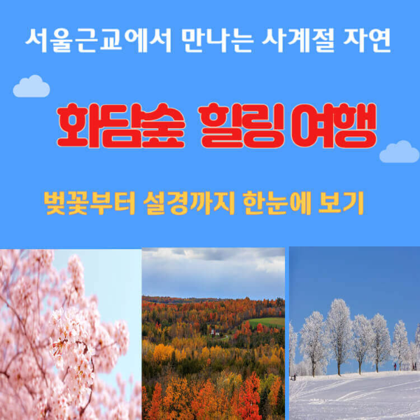 화담숲 사계절 힐링 명소