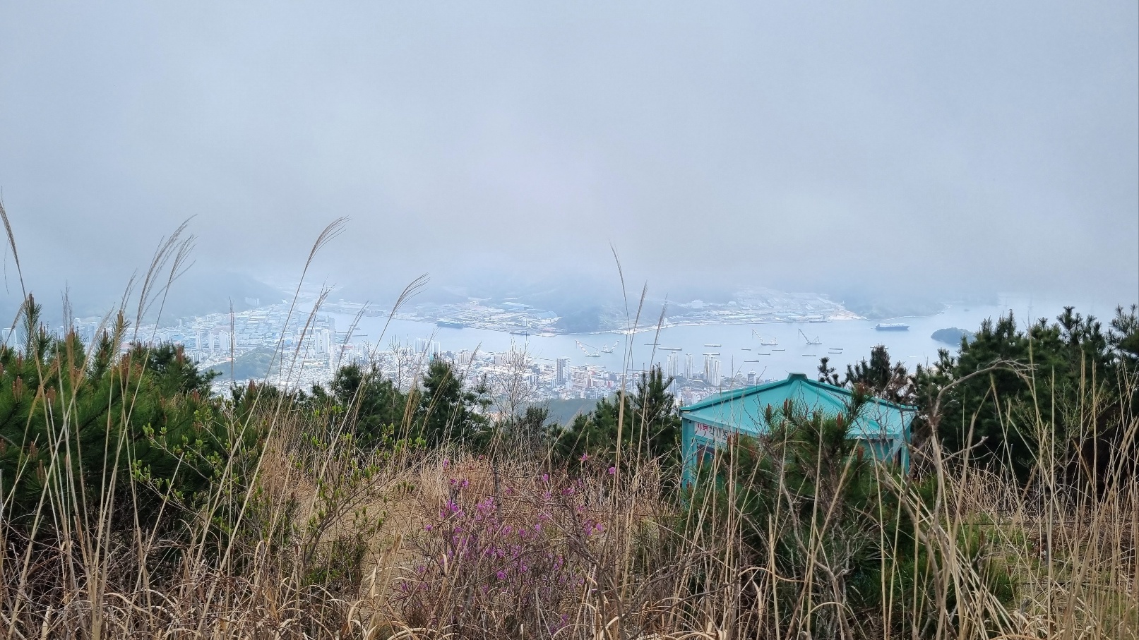 무학산 등산34