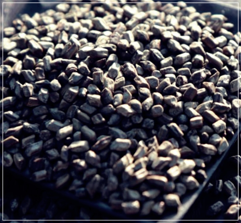 결명자의 효능, 부작용 및 섭취 방법