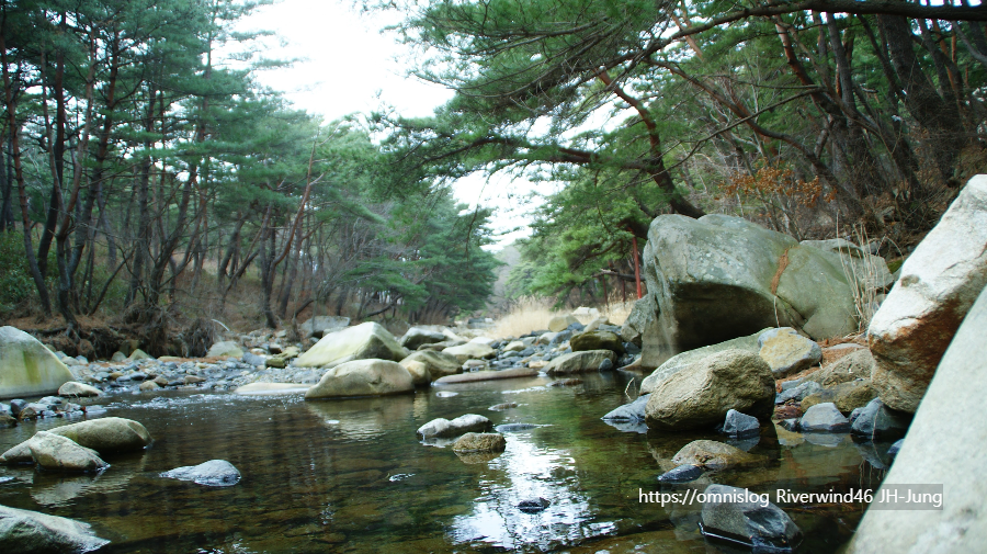 솔밭사이로 강물은 흐르고 The River in the Pines
