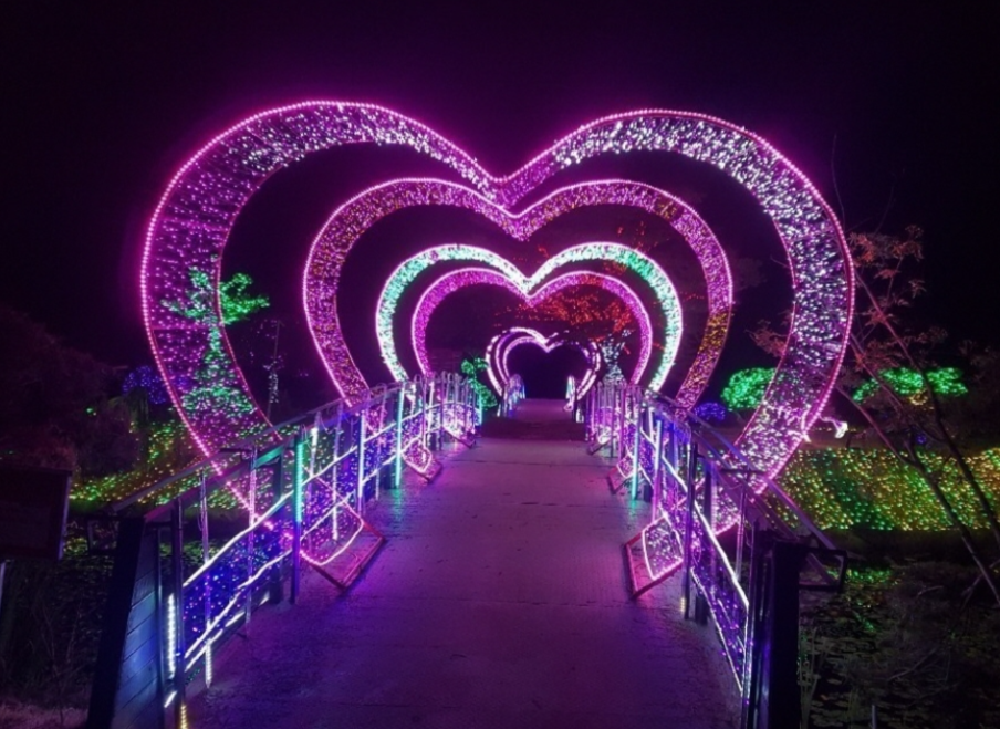 365일 빛나는 태안의 명소, 태안빛축제, 신청방법, 요금, 장소