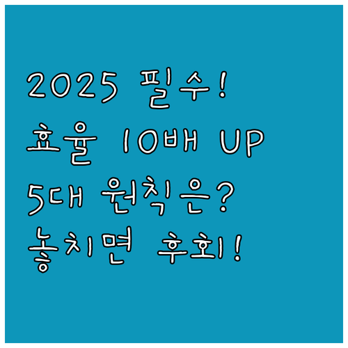 디지털 정보 관리 5대 원칙 2025..