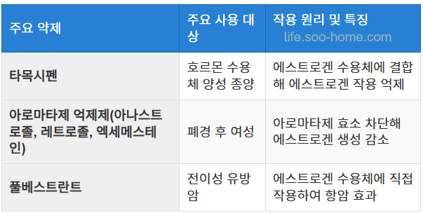 항호르몬요법의 역할과 주요 약제