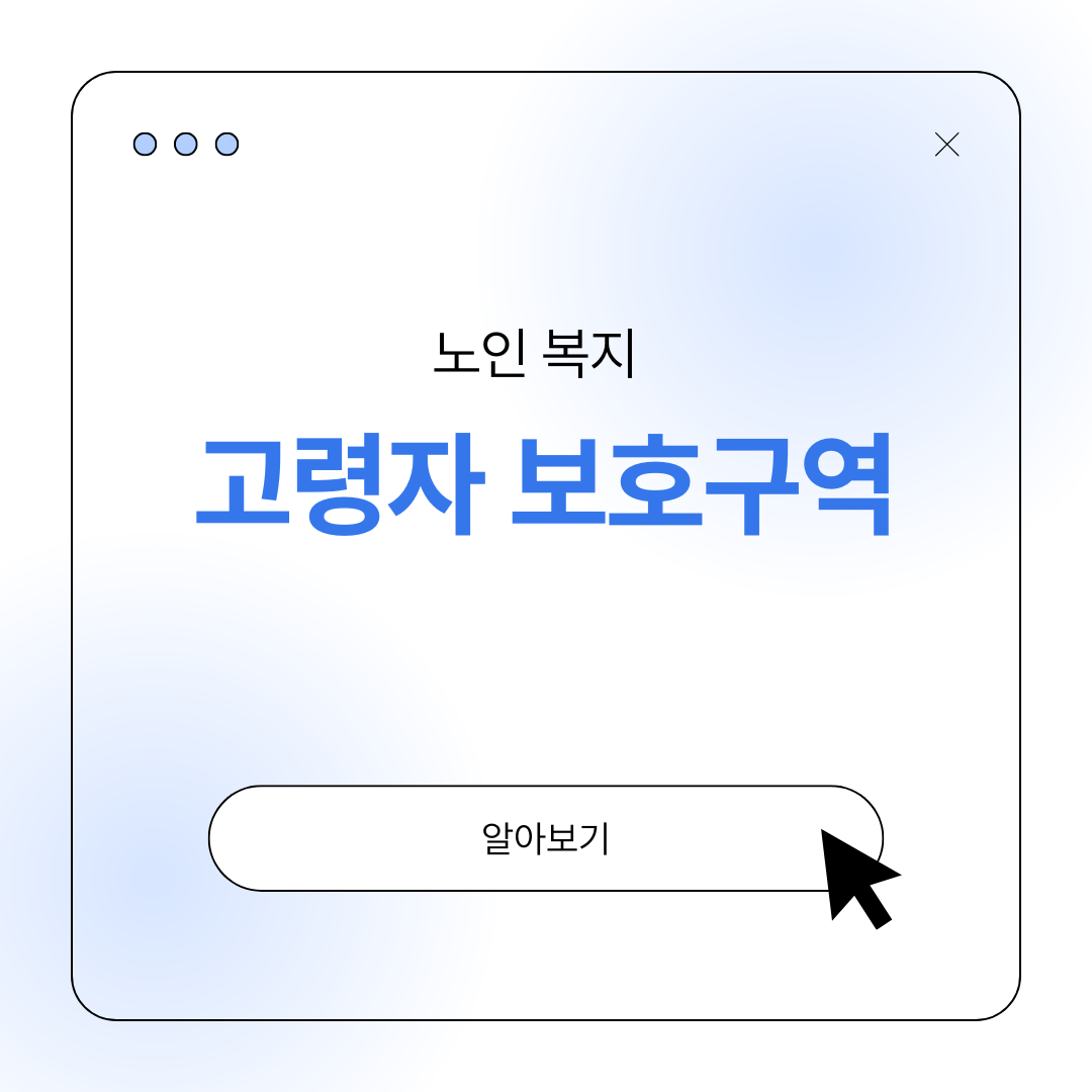 노인 보호구역 고령자