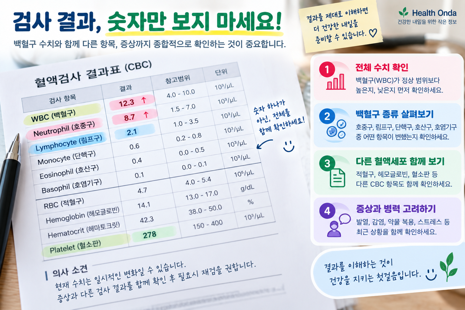 백혈구 결과와 다른 혈구·증상 확인 그림