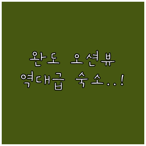 완도 숙소 추천 오션뷰 호텔부터 가족..