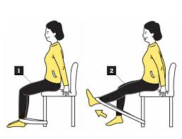 무릎 관절 건강을 지키는 운동