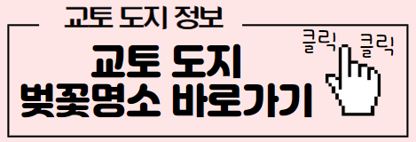 교토 도지 벚꽃명소 바로가기