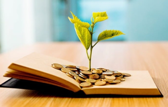 사회초년생 재테크 전략 7단계로 1000만원 모으기