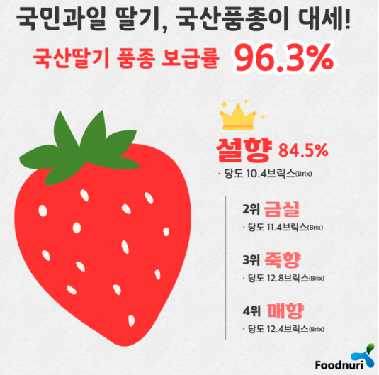 딸기 품종 설향