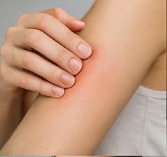 콘드로이친 효능