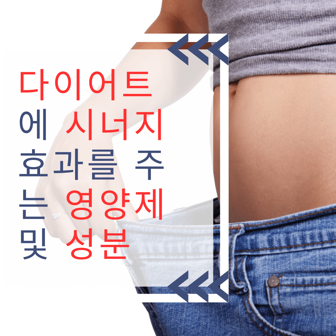 다이어트에 시너지 효과를 주는 영양제 및 성분
