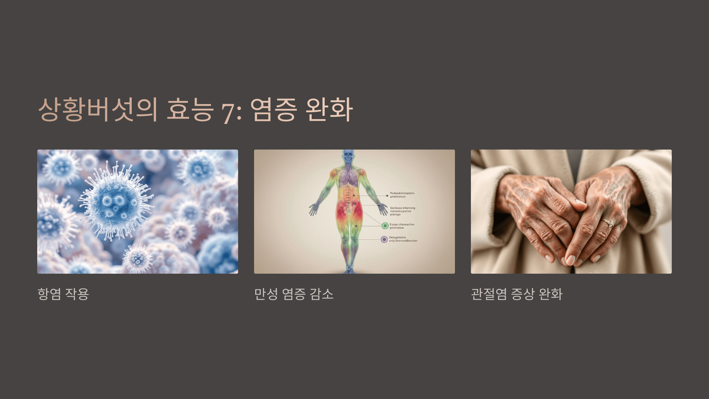 상황버섯과 관련된 사진입니다.