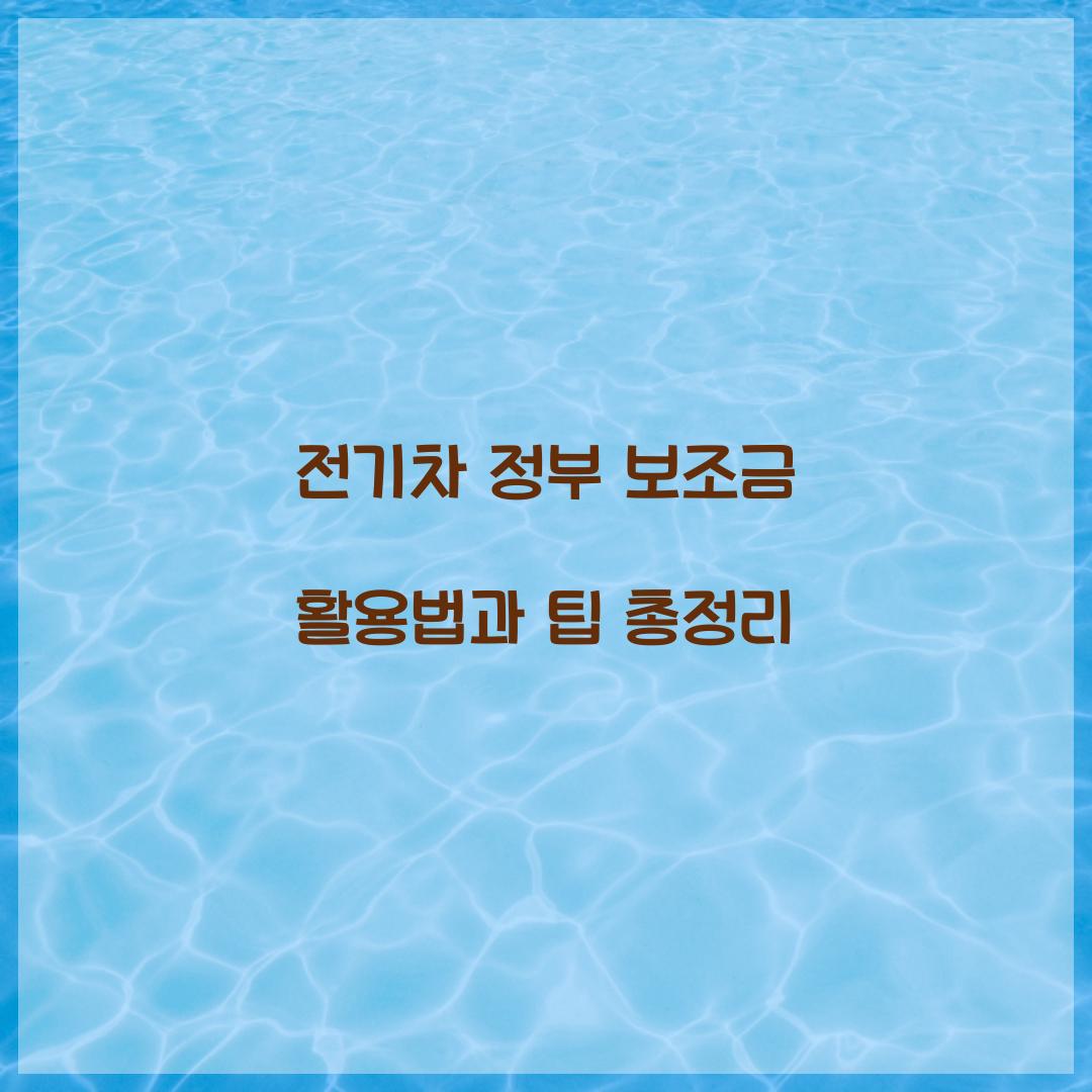 전기차 정부 보조금