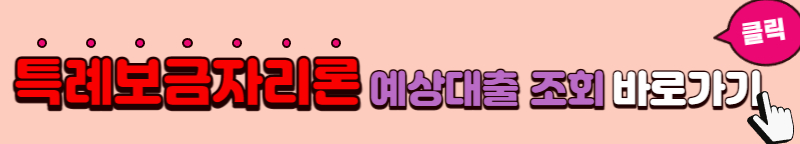 특례보금자리론 예상대출